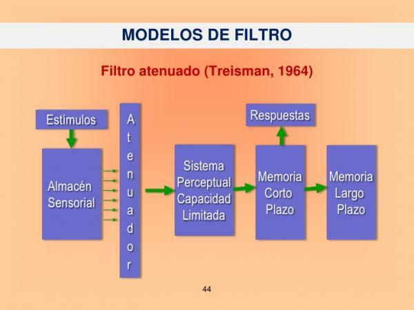 Rigid and Attenuated Filter Model - Divided Memory Amplitude Paradigm