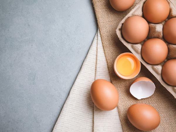 Kaj pomeni sanjati o jajcih