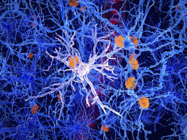Celulele gliale: ce sunt, tipuri și funcții