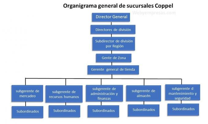 5 primerov vertikalne organizacijske sheme