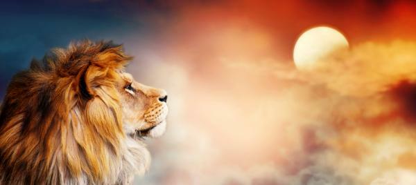Que signifie rêver de lions