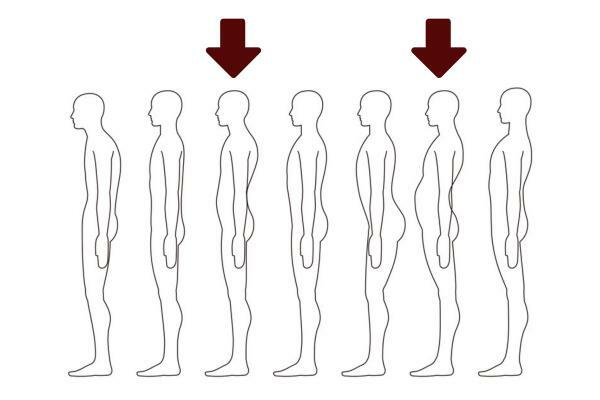 Meaning of body postures - Submissive posture