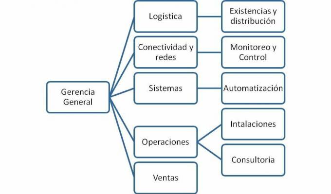 Horizontalna organizacijska shema (prednosti, nedostaci, karakteristike, svrha)