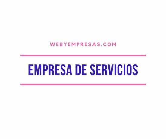 Services Company (What They Are, Types, Classification And Characteristics)