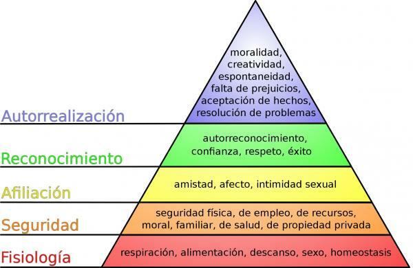 Maslows pyramid: Exempel på praktiska behov - Vad är Maslows pyramid