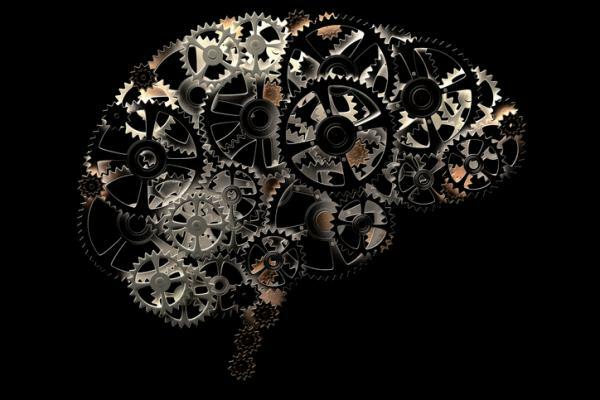 Kokios yra pagrindinės ir geriausios kognityvinės funkcijos?