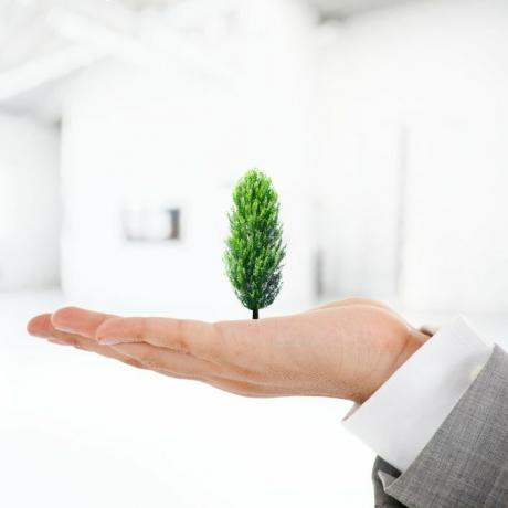 Более устойчивые компании: 7 приемов создания экологически чистой компании