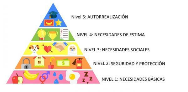 Maslow's pyramid: practical examples of needs