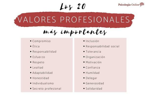 Professional values: what are list and examples