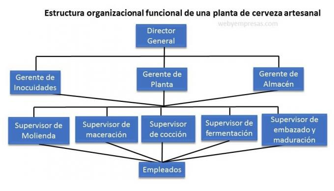 Voorbeeld van functionele organisatiestructuur. van een brouwerij