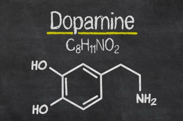 Різниця між дофаміном та серотоніном - що таке дофамін?
