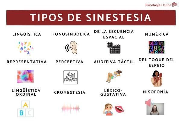 12 Sinestezijos rūšys ir jų charakteristikos