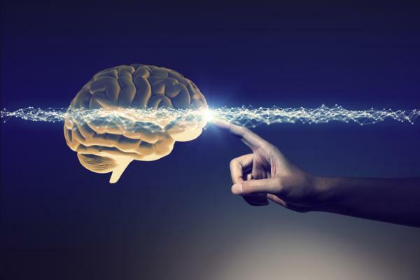 大脳辺縁系：部品、機能、病気
