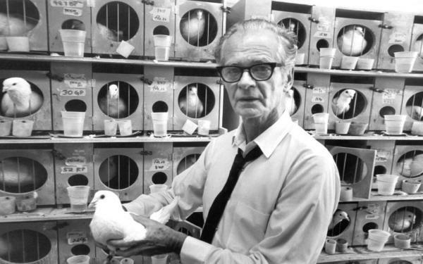 The theory of B.F. Skinner: behaviorism and operant conditioning