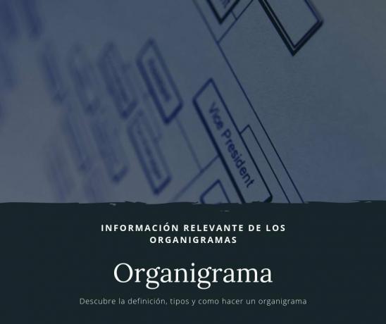 Organization chart (definition, structure and how it is done)