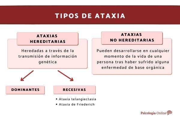 ประเภทของ ataxia และลักษณะของมัน