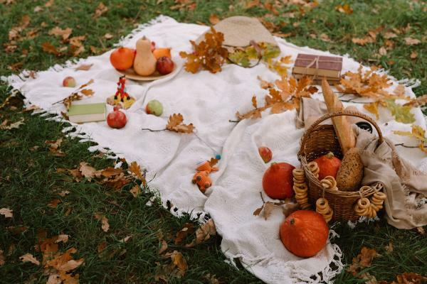 Plans to do as a couple without money - Prepare a picnic