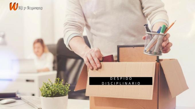 What is a disciplinary dismissal