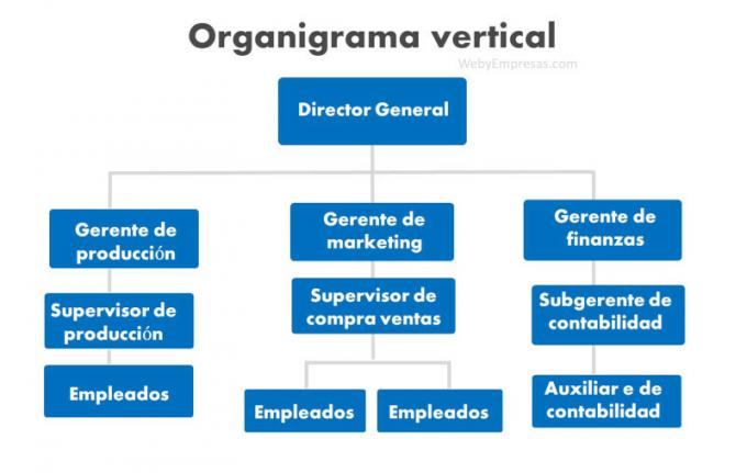 przykład pionowego schematu organizacyjnego