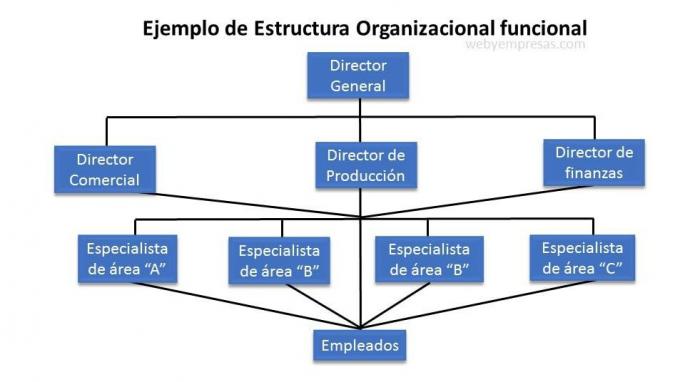 funkcionālās organizatoriskās struktūras piemērs