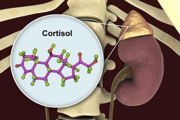 How to lower cortisol
