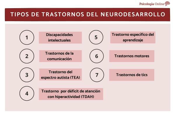 7 tipuri de tulburări de neurodezvoltare