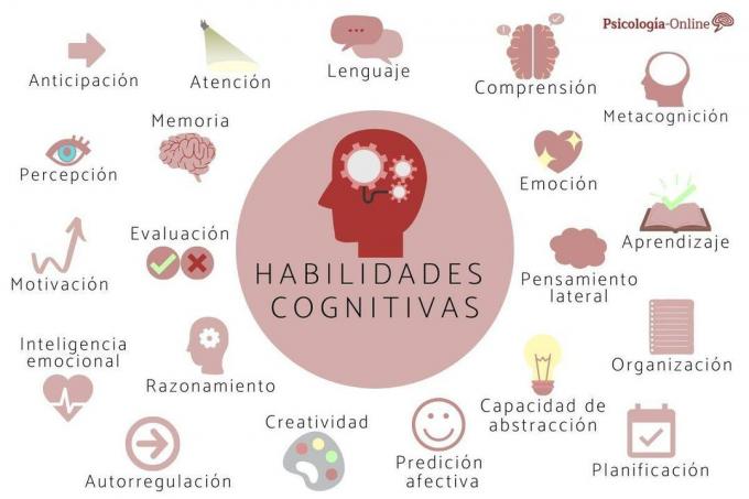20 COGNITIVE SKILLS: what they are, types, list and examples