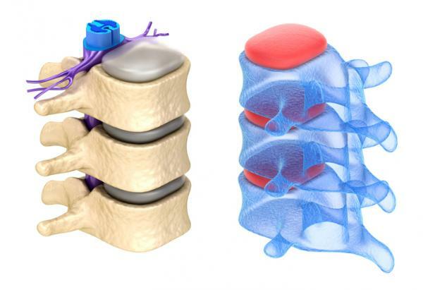 Perifert nervesystem: funksjoner og deler - Perifert nervesystem: deler