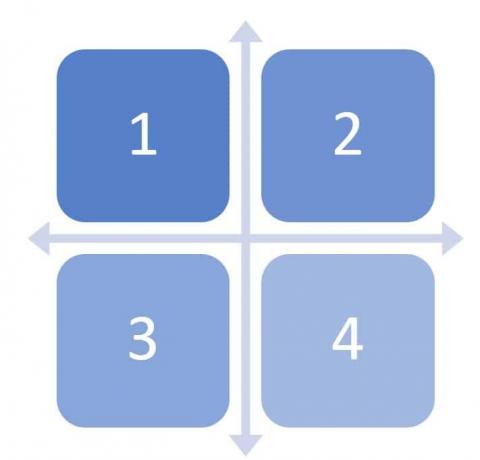 Matrisorganisationsschema