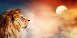 Que signifie rêver de lions