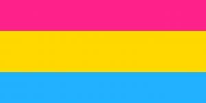 What is pansexuality
