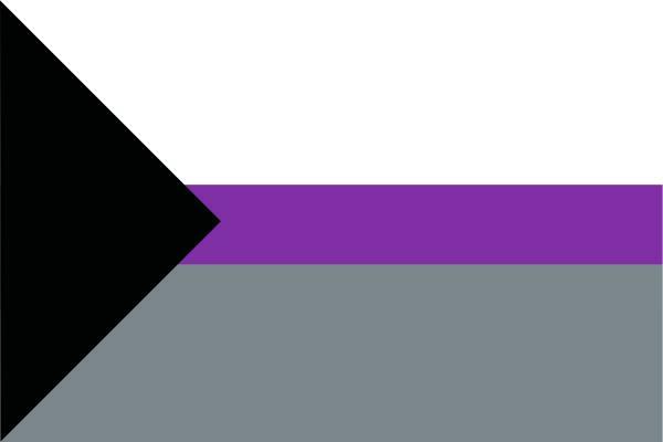 What is being DEMISEXUAL: characteristics and flag