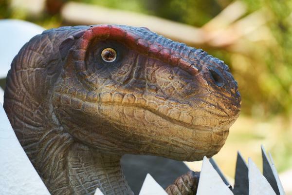What it means to dream about dinosaurs - What it means to dream about small dinosaurs