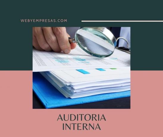 Internal Audit (What it is, Characteristics and Objectives)
