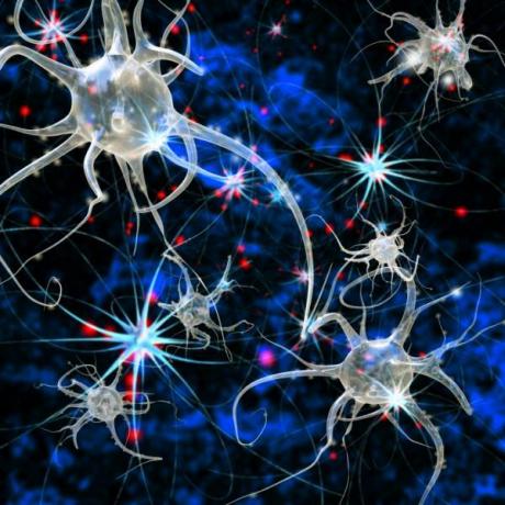 General Psychology: The Neuron
