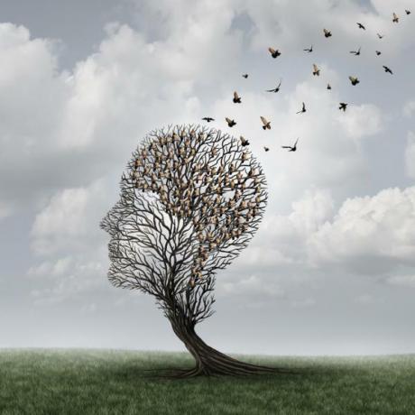 Alzheimerin taudin ja seniilin dementian välinen ero