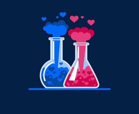 사랑의 화학: 과학적 공식이 있습니까?