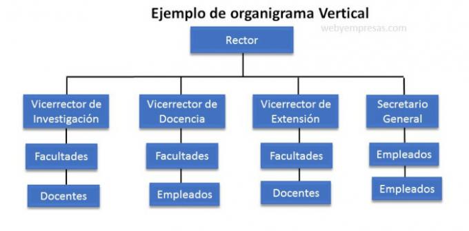 किसी विश्वविद्यालय के लिए लंबवत संगठनात्मक चार्ट का उदाहरण