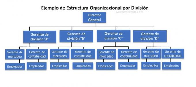 4 примера организационной структуры