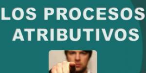 Attribution processes - Consequences and application
