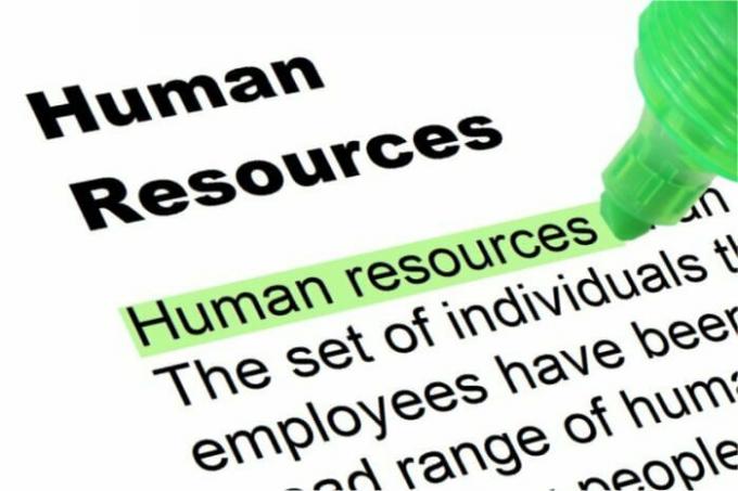 Planning van Human Resources en het bedrijf
