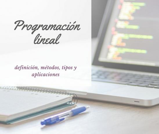 Programmazione lineare (definizione, metodi)