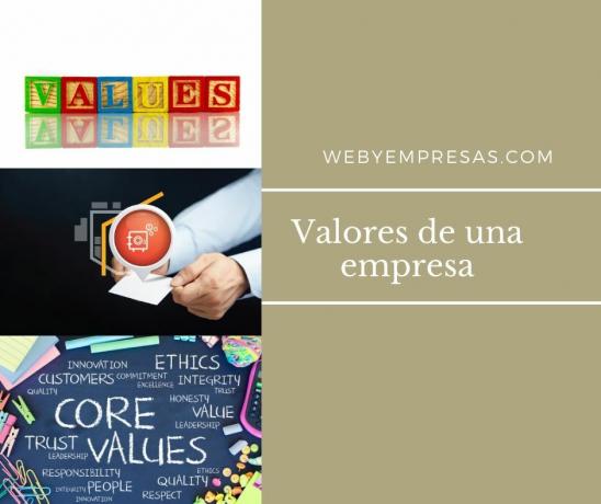 Was sind die Werte eines Unternehmens?