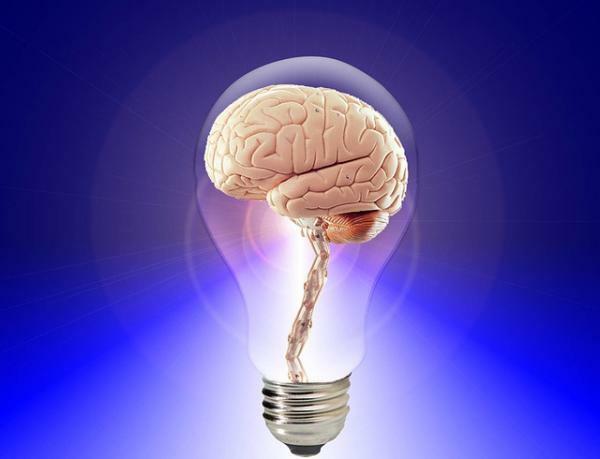 Kas yra roplio smegenys: dalys ir funkcijos