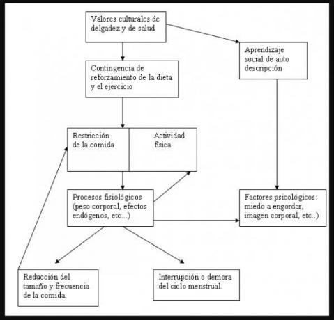 Етиологија анорексије и булимије нервозе - Функционална анализа као етиолошки модел анорексије и булимије