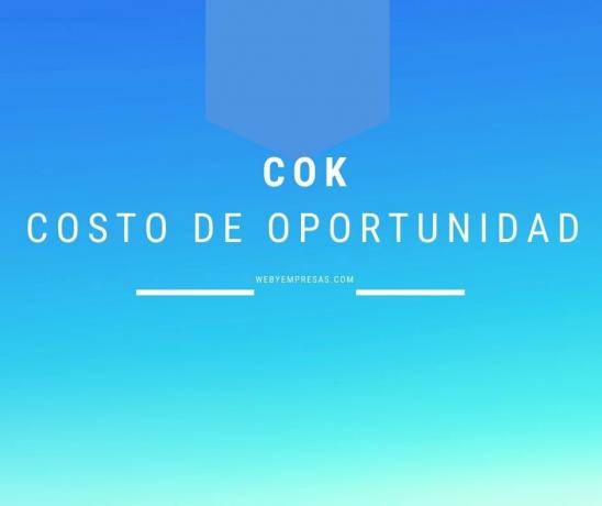 COK Opportunity Cost of Capital
