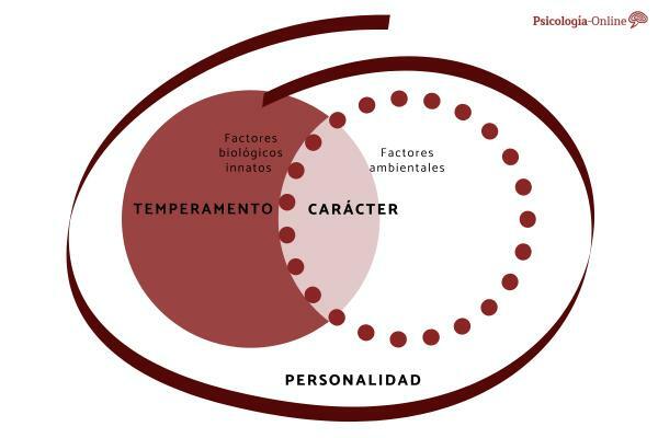 Difference between temperament, character and personality