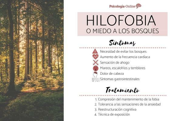 Frykt for skog eller hilofobi: symptomer, årsaker og behandling