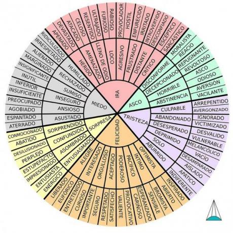 Primary emotions: what are they, types and functions - Circle of primary and secondary emotions