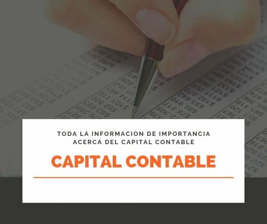 Aktieägarnas eget kapital (definition, element och betydelse)